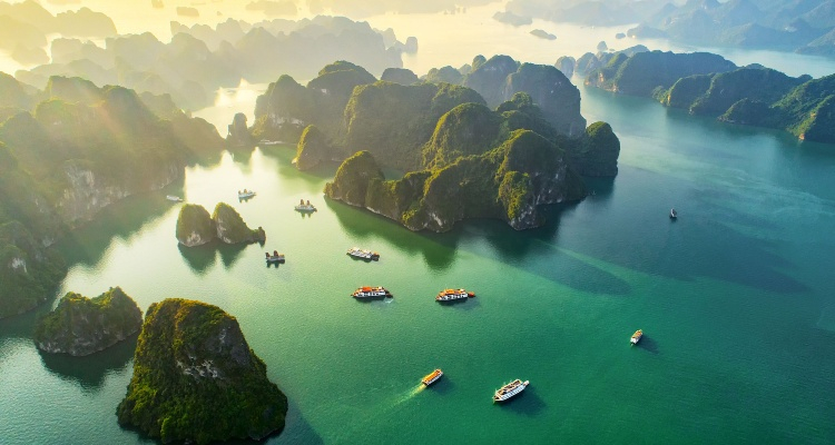 Vietnam Free & Easy